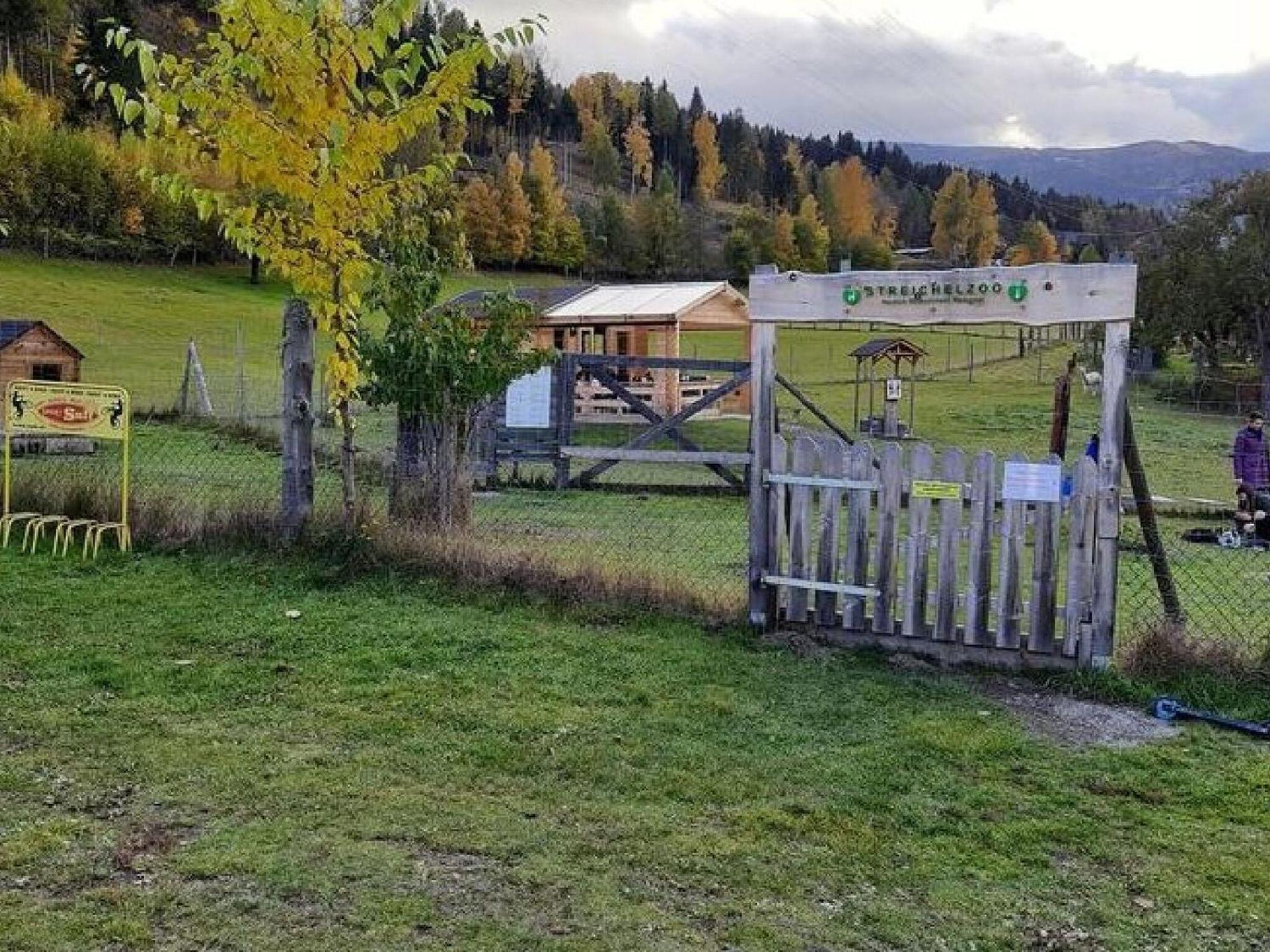 סנט גאורגן אוב מוראו Chalet In St Georgen Ob Murau With Hot Tub מראה חיצוני תמונה